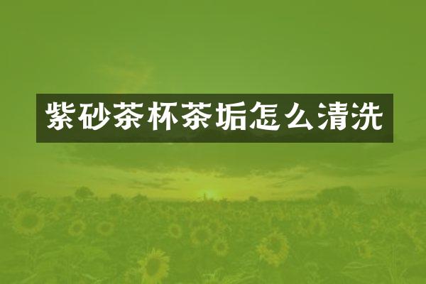 紫砂茶杯茶垢怎么清洗