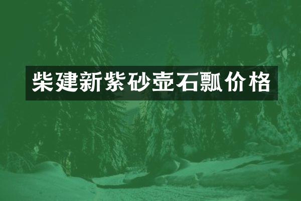 柴建新紫砂壶石瓢价格