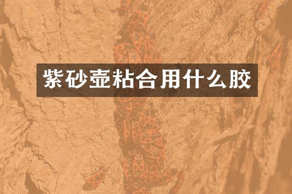 紫砂壶粘合用什么胶