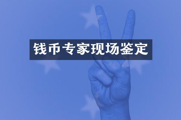 钱币专家现场鉴定