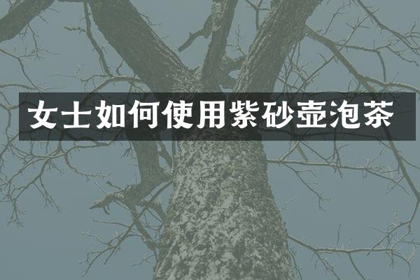 女士如何使用紫砂壶泡茶