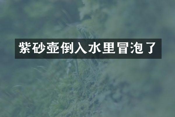 紫砂壶倒入水里冒泡了