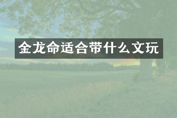 金龙命适合带什么文玩