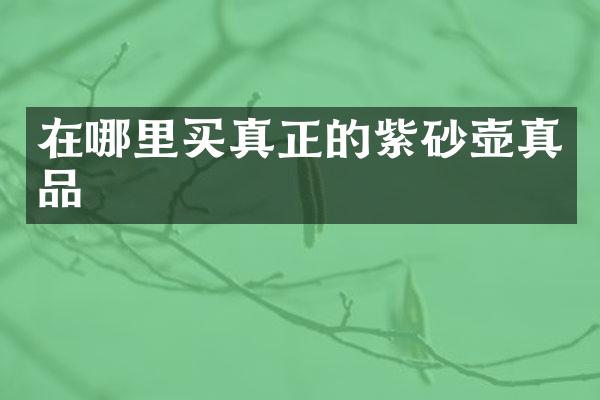 在哪里买真正的紫砂壶真品
