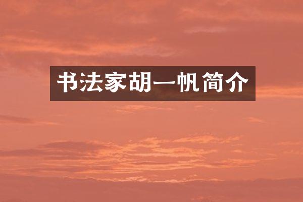 书法家胡一帆简介
