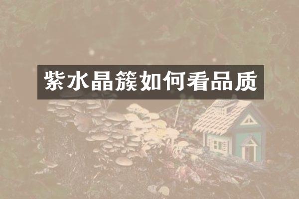 紫水晶簇如何看品质