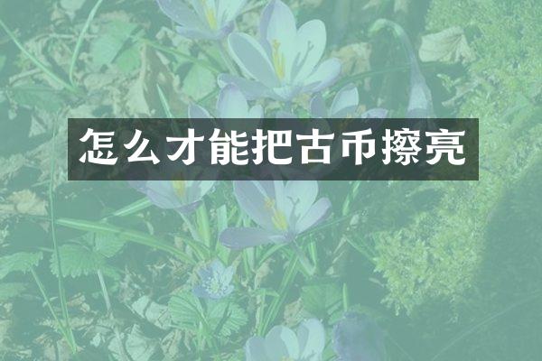 怎么才能把古币擦亮
