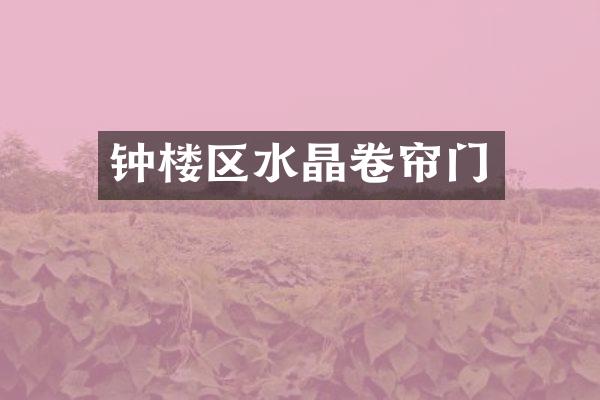 钟楼区水晶卷帘门