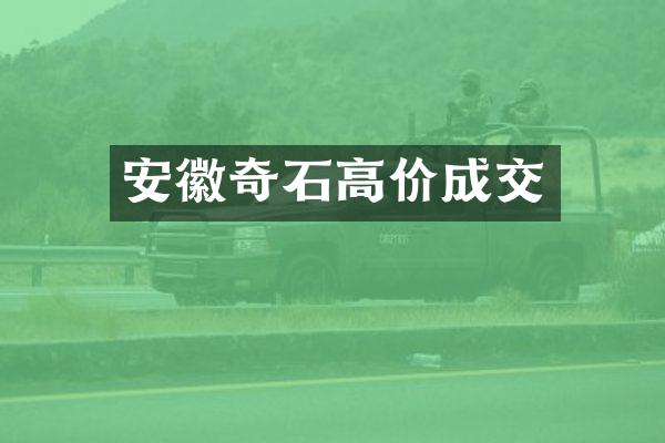 安徽奇石高价成交