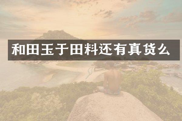 和田玉于田料还有真货么