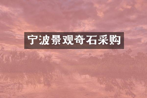 宁波景观奇石采购