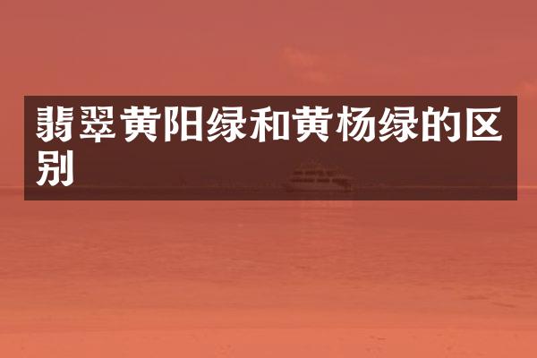 翡翠黄阳绿和黄杨绿的区别