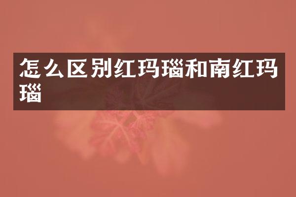 怎么区别红玛瑙和南红玛瑙