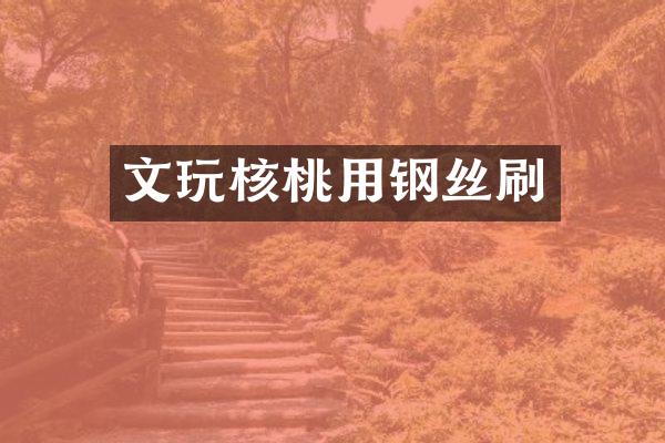文玩核桃用钢丝刷