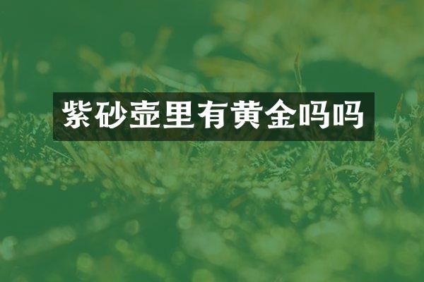 紫砂壶里有黄金吗吗