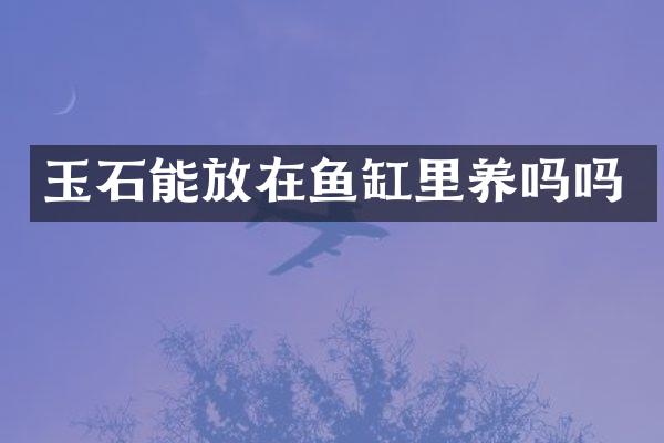 玉石能放在鱼缸里养吗吗
