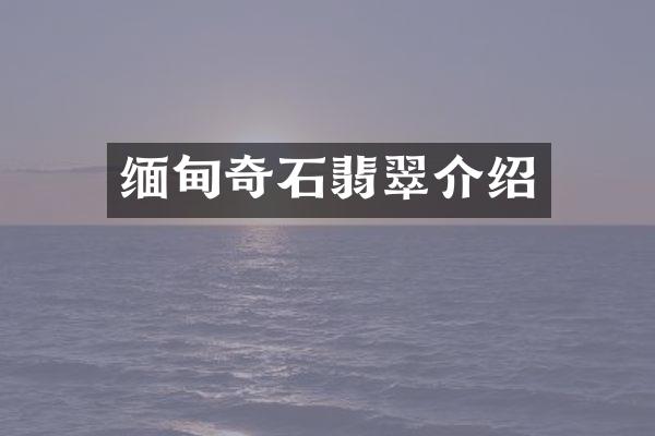 缅甸奇石翡翠介绍