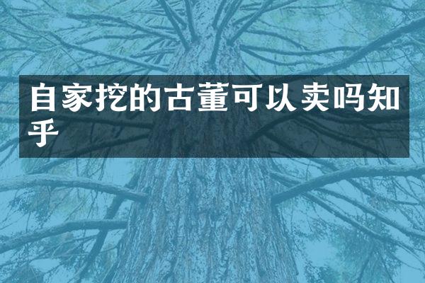 自家挖的古董可以卖吗知乎