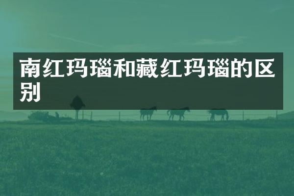 南红玛瑙和藏红玛瑙的区别