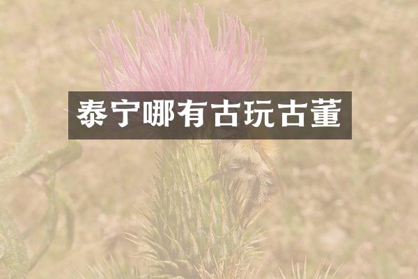 泰宁哪有古玩古董
