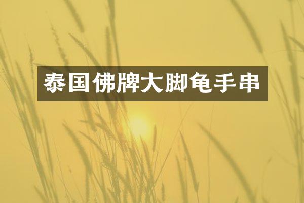 泰国佛牌大脚龟手串