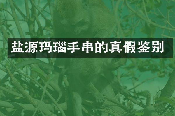 盐源玛瑙手串的真假鉴别