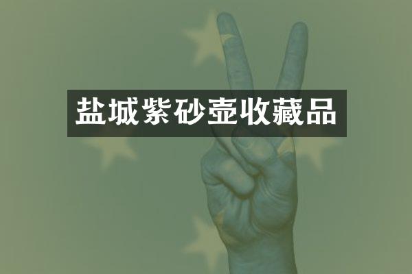 盐城紫砂壶收藏品