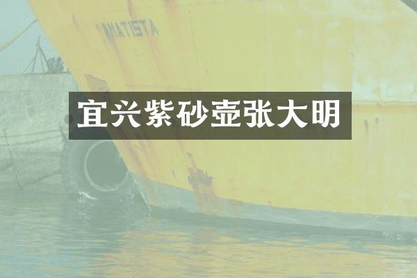 宜兴紫砂壶张大明