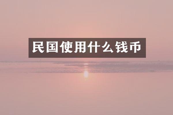 民国使用什么钱币