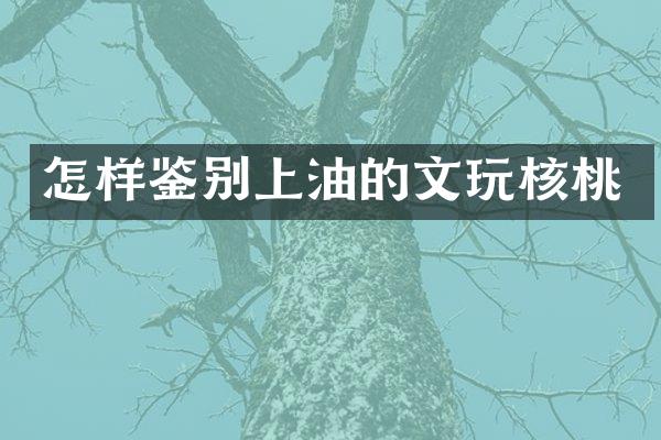 怎样鉴别上油的文玩核桃