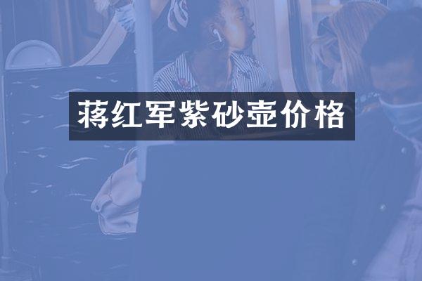蒋红军紫砂壶价格