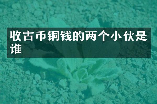 收古币铜钱的两个小伙是谁