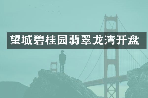 望城碧桂园翡翠龙湾开盘