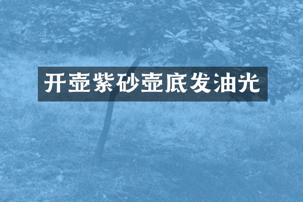 开壶紫砂壶底发油光