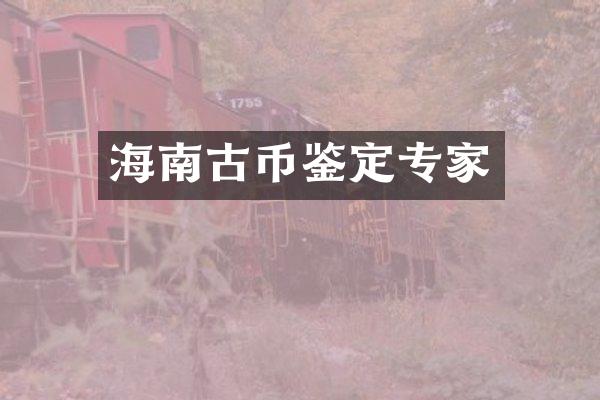 海南古币鉴定专家