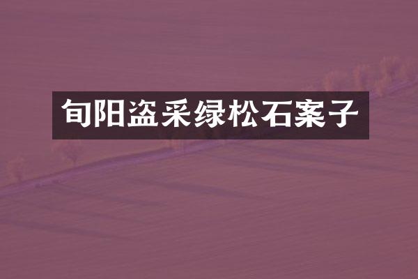 旬阳盗采绿松石案子