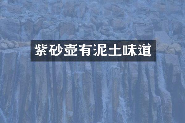 紫砂壶有泥土味道
