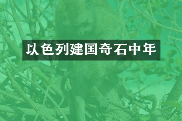 以色列奇石中年