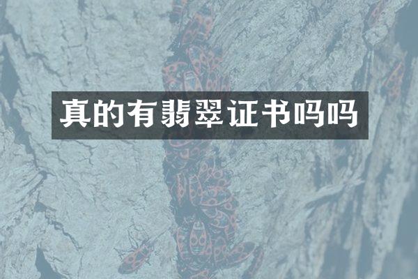 真的有翡翠证书吗吗