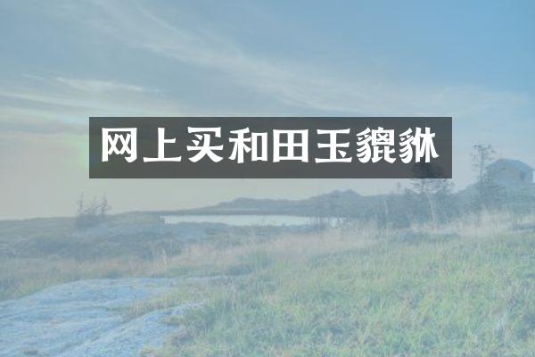 网上买和田玉貔貅