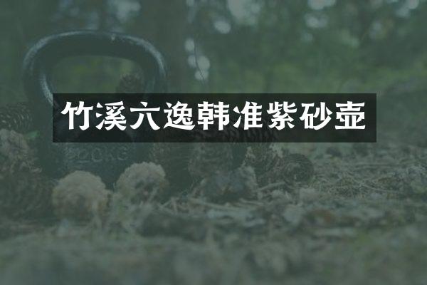 竹溪六逸韩准紫砂壶