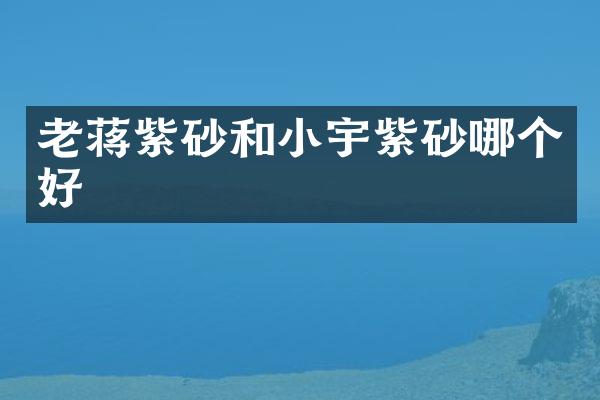 老蒋紫砂和小宇紫砂哪个好