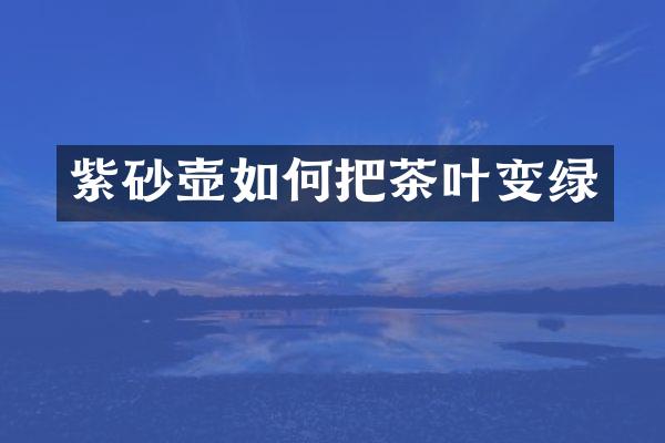 紫砂壶如何把茶叶变绿
