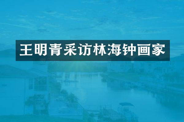 王明青采访林海钟画家