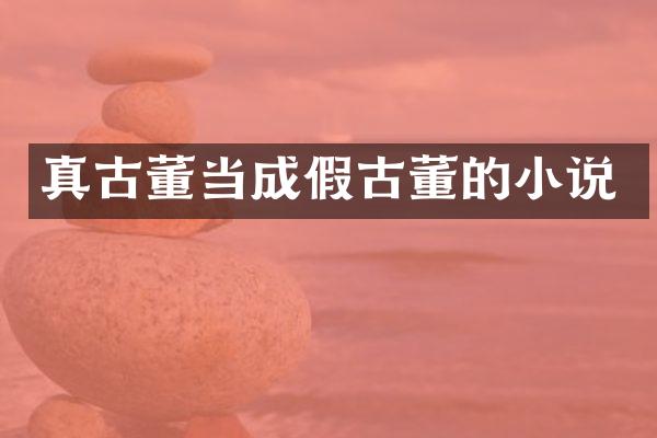 真古董当成假古董的小说