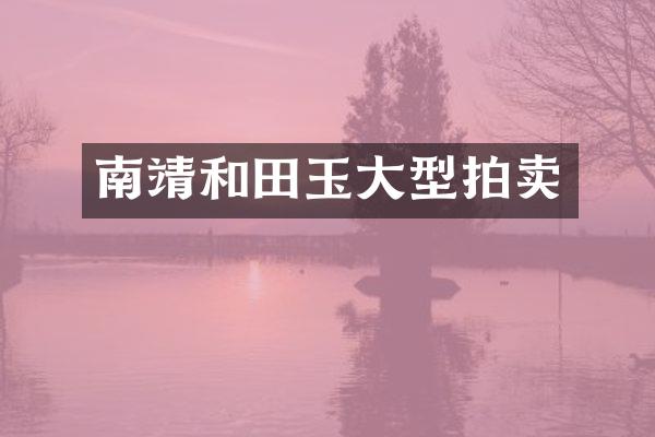 南靖和田玉大型拍卖