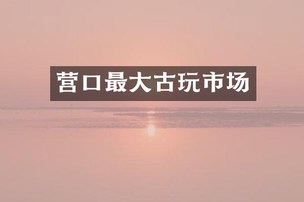 营口最大古玩市场