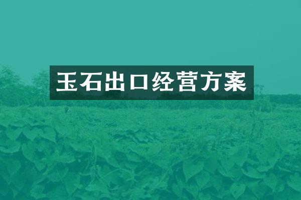 玉石出口经营方案