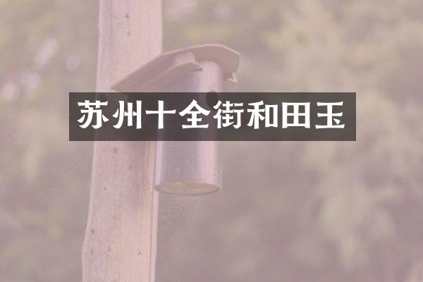 苏州十全街和田玉