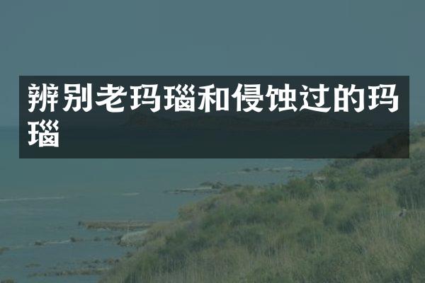辨别老玛瑙和侵蚀过的玛瑙